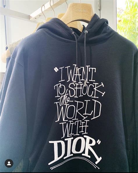 i want to shock the world with dior hoodie